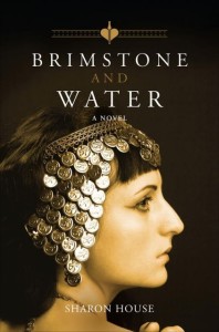 Brimstone and Water cover