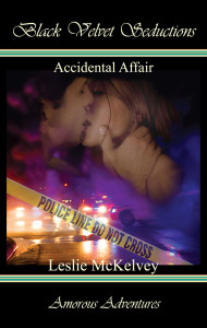 Accidental Affair Cover