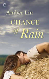 Chance of Rain Book cover