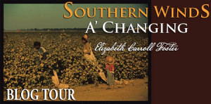Southern Winds Banner