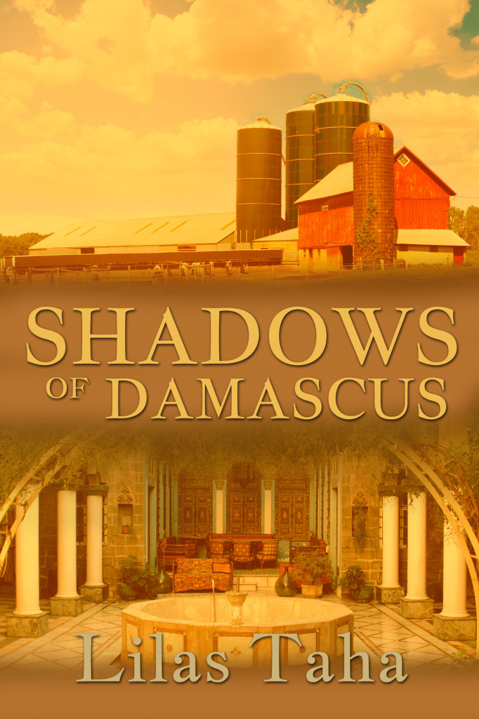 shadows of damascus cover